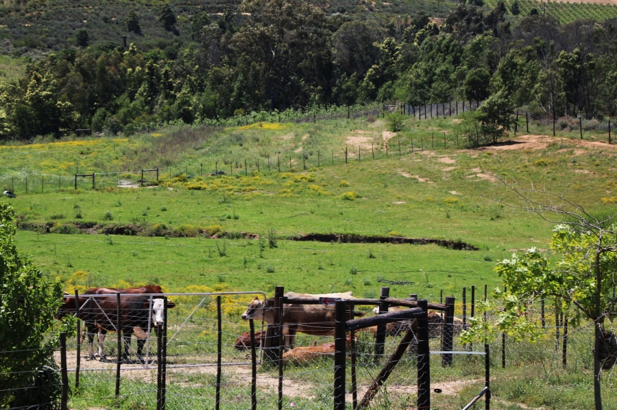 Commercial Property for Sale in Uniondale Rural Western Cape